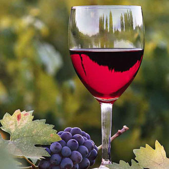 Laithwaites Wine Evening