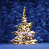 Christmas Is Coming!